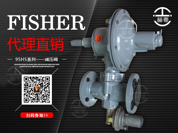 FISHER299HSДpyTYPE299HS